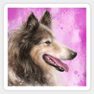 Painting of a Brown and White Furry Collie Dog Smiling Sticker